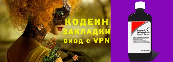 ECSTASY Покачи