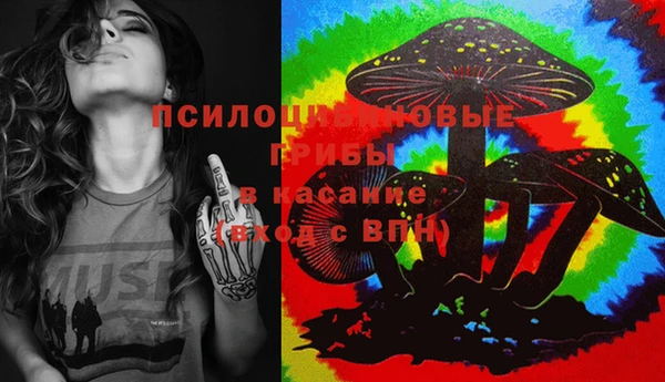 ECSTASY Покачи