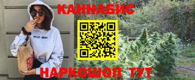 индика Можга