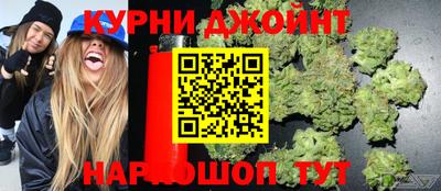 индика Можга
