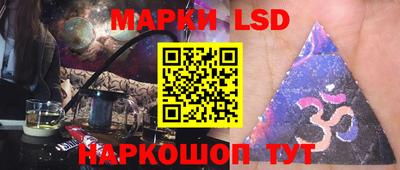 индика Можга