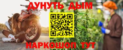 индика Можга