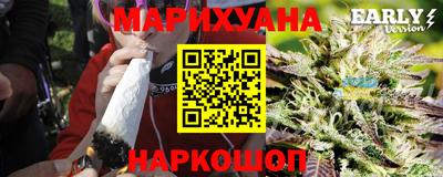 индика Можга