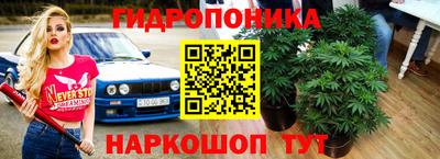 стаф Моздок
