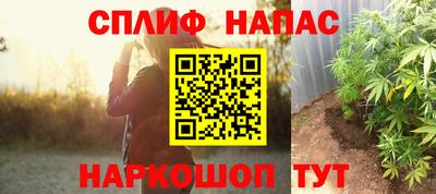 стаф Моздок