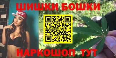 стаф Моздок